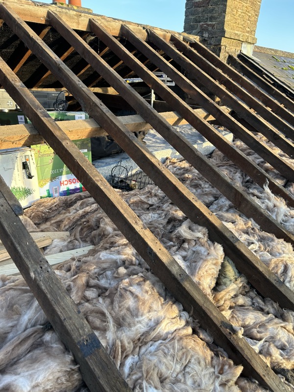 24-01-24-joists.jpg