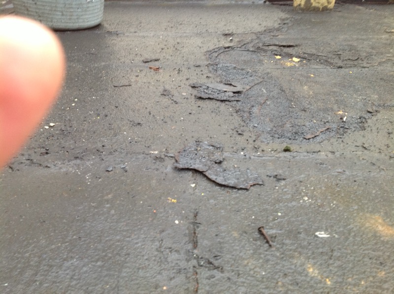 scott-old-flatroof.JPG